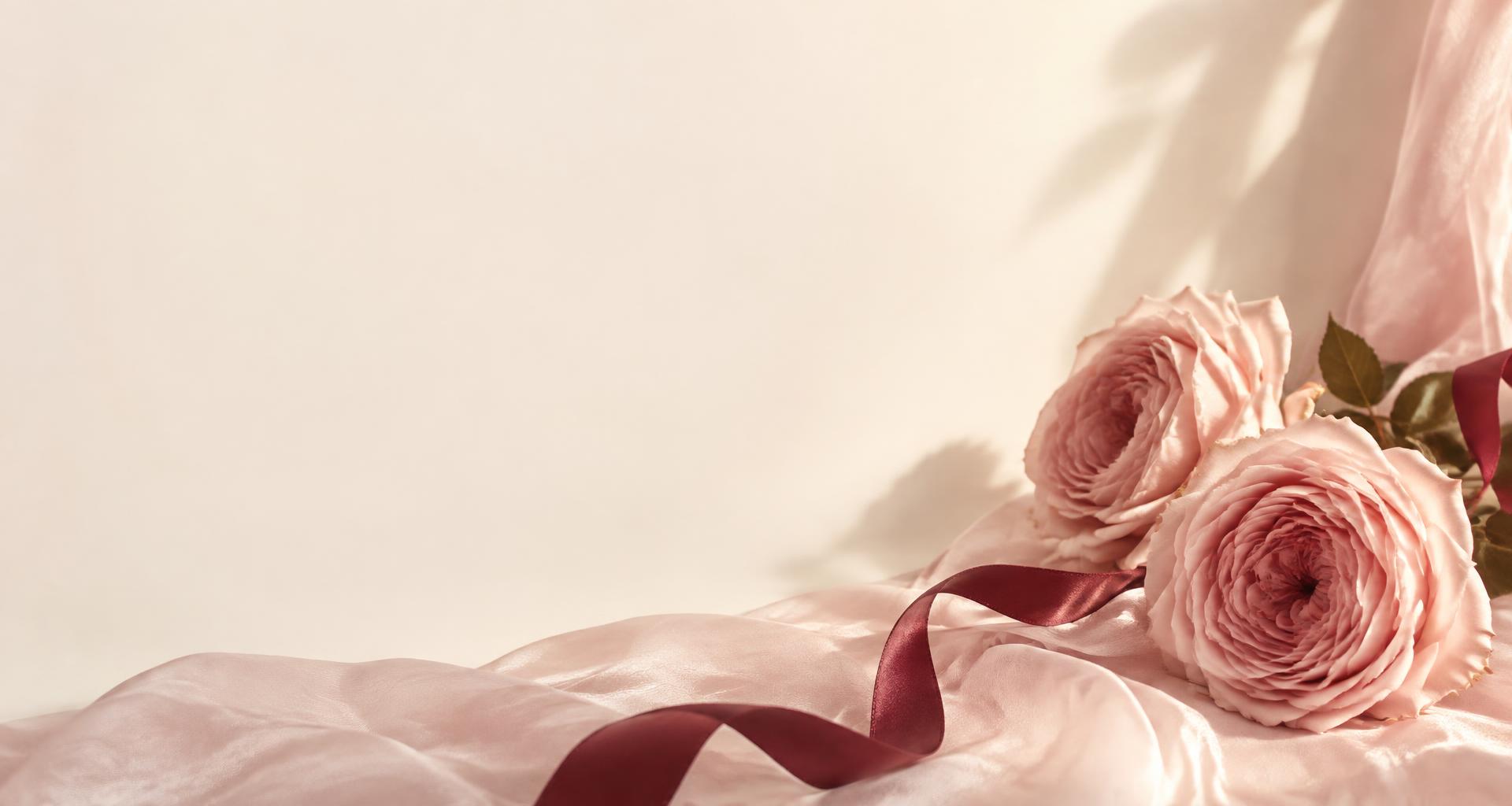 Blush garden roses, silk, and a delicate ribbon in soft sunlight